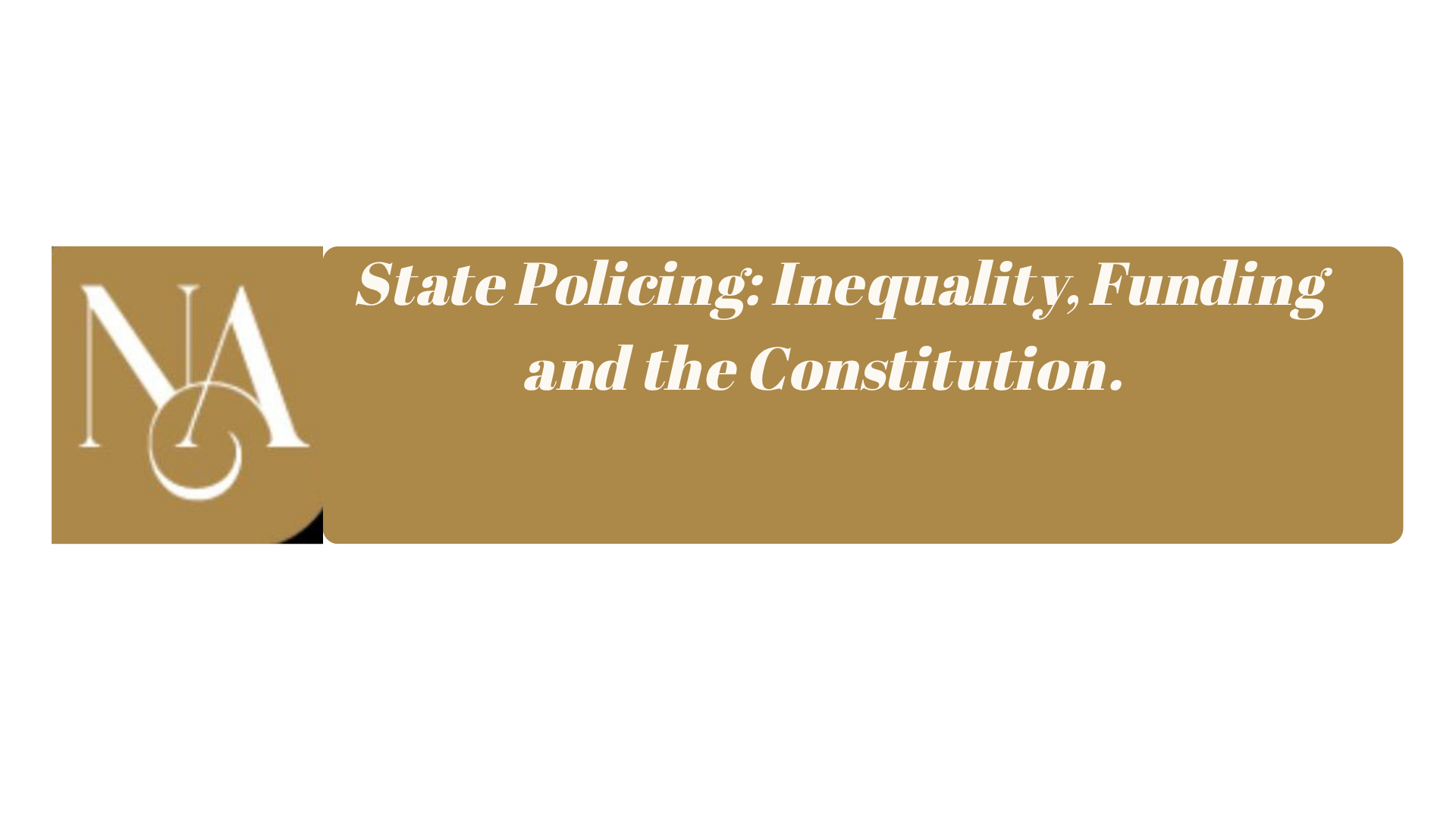 State Policing: Inequality, Funding and the Constitution